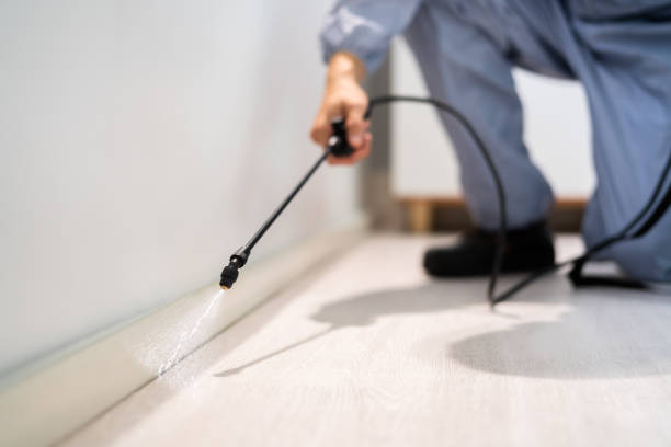 Licensed Fumigation Services service in Stanley, WI - Nex Pest Control