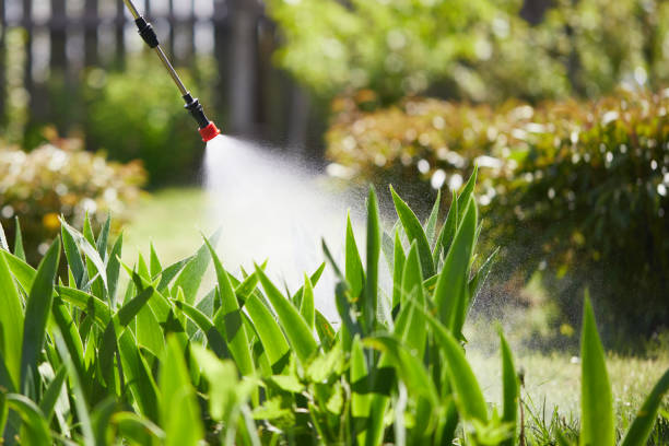 24/7 Emergency Fumigation Services experts in Stanley, WI
