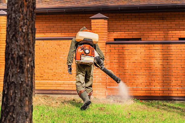 Top rated local Fumigation Services specialists in Stanley, WI